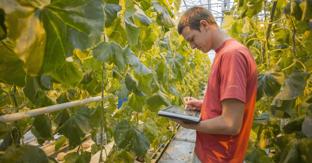 Customer spotlight: De meer dan 30 filialen van groenteveredelings- specialist Rijk Zwaan werken samen met Bynder
