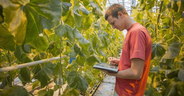 Customer spotlight: De meer dan 30 filialen van groenteveredelings- specialist Rijk Zwaan werken samen met Bynder