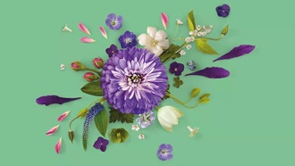 How Bynder helps the RHS manage 200,000 digital assets