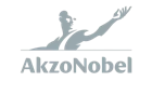 Logo Customer Gray AkzoNobel